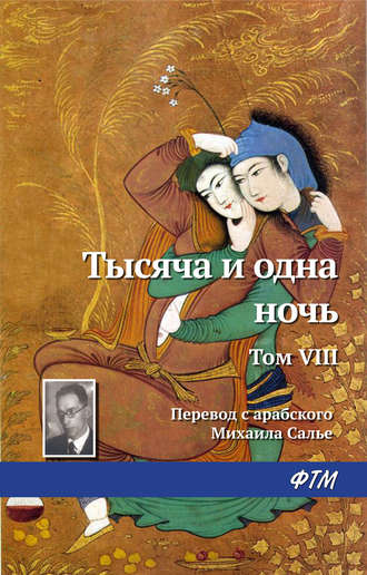 Тысяча и одна ночь. Том VIII. 