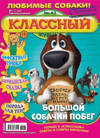 Классный журнал №43/2016. 