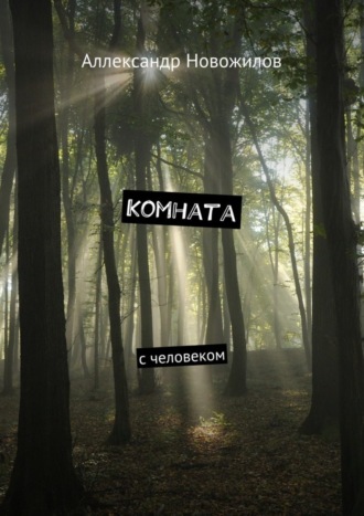 Комната. с человеком. Аллександр Новожилов