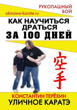 Константин Терехин. Уличное каратэ. Как научиться драться за 100 дней