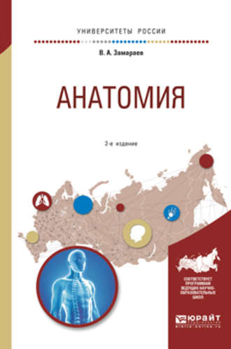 Виктор Алексеевич Замараев. Анатомия 2-е изд., испр. и доп. Учебное пособие для вузов