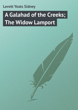 Levett Yeats Sidney. A Galahad of the Creeks; The Widow Lamport