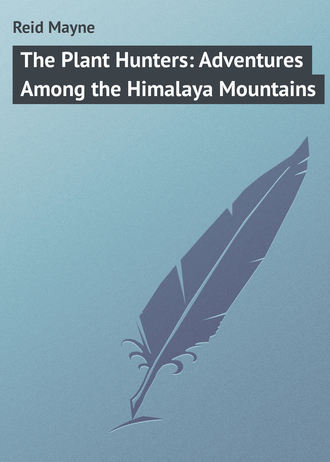 Майн Рид. The Plant Hunters: Adventures Among the Himalaya Mountains