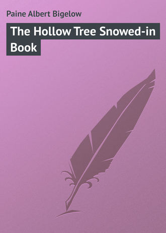 Paine Albert Bigelow. The Hollow Tree Snowed-in Book