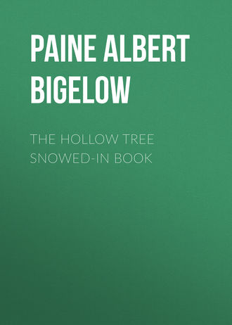 Paine Albert Bigelow. The Hollow Tree Snowed-In Book