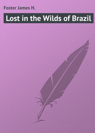 Foster James H.. Lost in the Wilds of Brazil