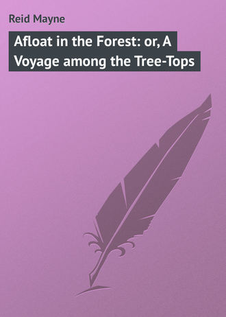 Майн Рид. Afloat in the Forest: or, A Voyage among the Tree-Tops