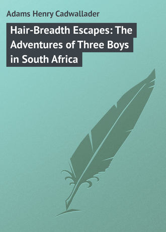 Adams Henry Cadwallader. Hair-Breadth Escapes: The Adventures of Three Boys in South Africa
