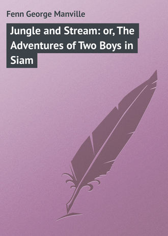 Fenn George Manville. Jungle and Stream: or, The Adventures of Two Boys in Siam