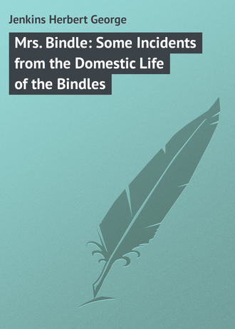 Jenkins Herbert George. Mrs. Bindle: Some Incidents from the Domestic Life of the Bindles