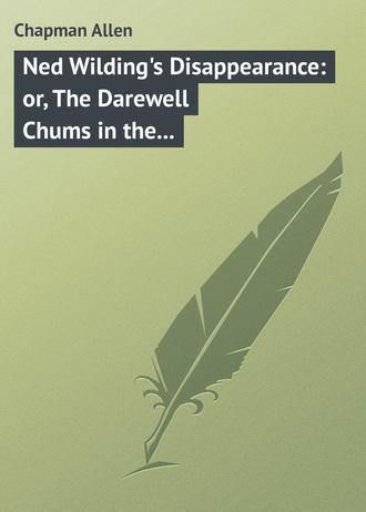 Chapman Allen. Ned Wilding's Disappearance: or, The Darewell Chums in the City