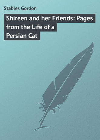 Stables Gordon. Shireen and her Friends: Pages from the Life of a Persian Cat