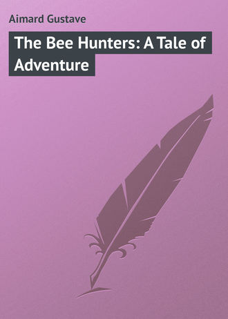 Густав Эмар. The Bee Hunters: A Tale of Adventure