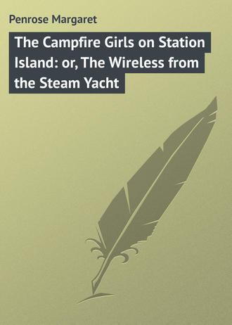 Penrose Margaret. The Campfire Girls on Station Island: or, The Wireless from the Steam Yacht
