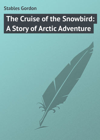 Stables Gordon. The Cruise of the Snowbird: A Story of Arctic Adventure