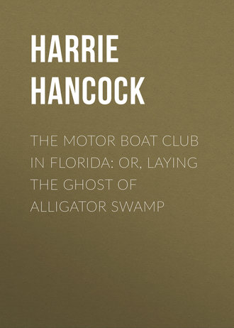 The Motor Boat Club in Florida: or, Laying the Ghost of Alligator Swamp. Hancock Harrie Irving