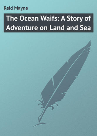 Майн Рид. The Ocean Waifs: A Story of Adventure on Land and Sea
