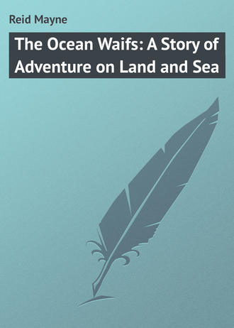 The Ocean Waifs: A Story of Adventure on Land and Sea. 