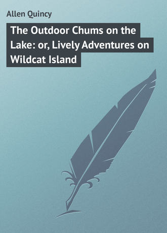 Allen Quincy. The Outdoor Chums on the Lake: or, Lively Adventures on Wildcat Island