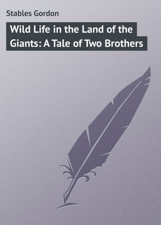 Stables Gordon. Wild Life in the Land of the Giants: A Tale of Two Brothers