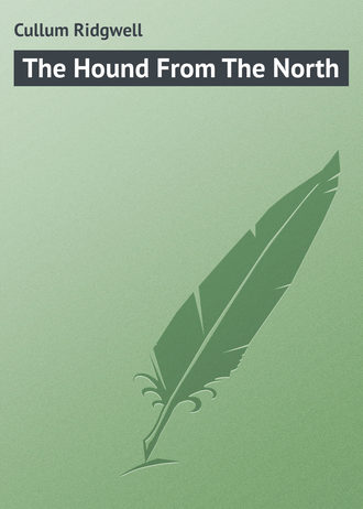 The Hound From The North. Cullum Ridgwell