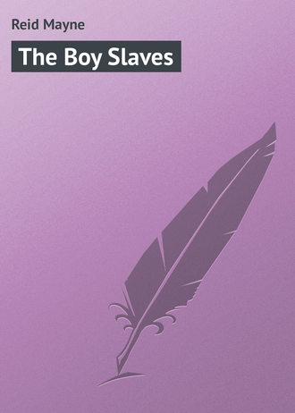 Майн Рид. The Boy Slaves