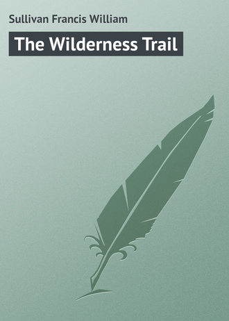 The Wilderness Trail. 