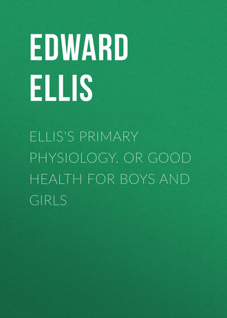 Ellis Edward Sylvester. Ellis's Primary Physiology. Or Good Health for Boys and Girls