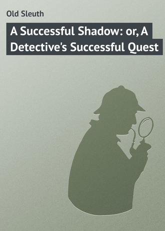 Old Sleuth. A Successful Shadow: or, A Detective's Successful Quest