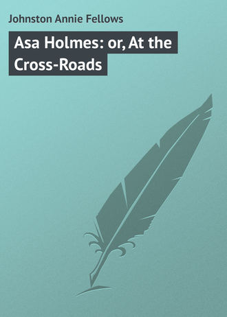 Asa Holmes: or, At the Cross-Roads. 