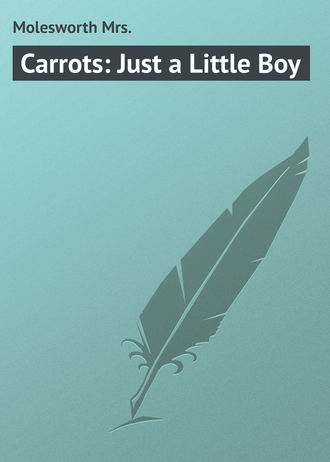 Molesworth Mrs.. Carrots: Just a Little Boy