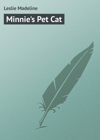 Minnie's Pet Cat. 