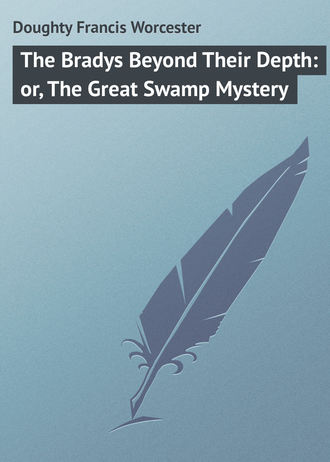 The Bradys Beyond Their Depth: or, The Great Swamp Mystery. Doughty Francis Worcester