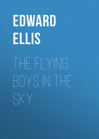 Ellis Edward Sylvester. The Flying Boys in the Sky