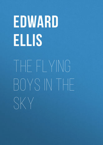 The Flying Boys in the Sky. Ellis Edward Sylvester