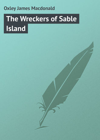 Oxley James Macdonald. The Wreckers of Sable Island