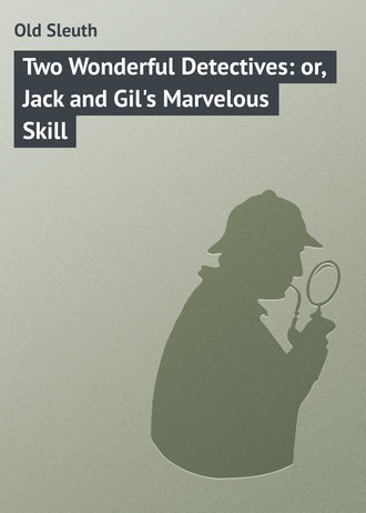 Old Sleuth. Two Wonderful Detectives: or, Jack and Gil's Marvelous Skill