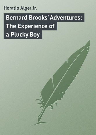 Alger Horatio Jr.. Bernard Brooks' Adventures: The Experience of a Plucky Boy