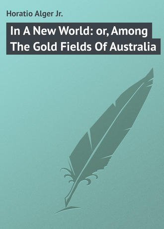 Alger Horatio Jr.. In A New World: or, Among The Gold Fields Of Australia