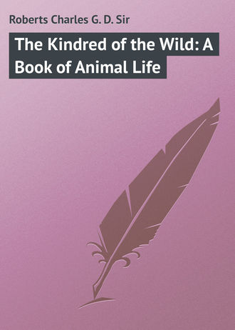 The Kindred of the Wild: A Book of Animal Life. 