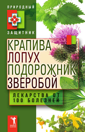 . Крапива, лопух, подорожник, зверобой. Лекарства от 100 болезней