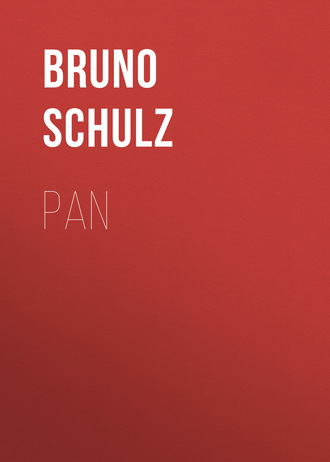 Bruno  Schulz. Pan
