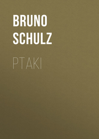 Ptaki. 