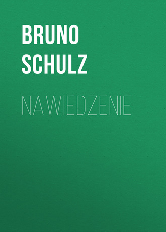 Bruno  Schulz. Nawiedzenie