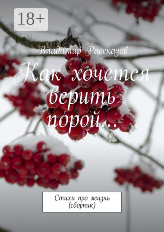 Как хочется верить порой… Стихи про жизнь (сборник). Владимир Рассказов