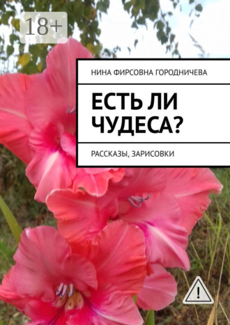 Нина Фирсовна Городничева. Есть ли чудеса? Рассказы, зарисовки