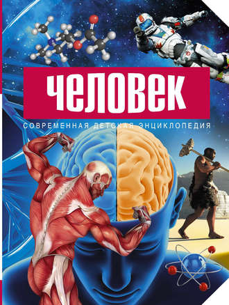. Человек