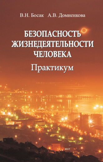 Безопасность жизнедеятельности человека. Практикум. В. Н. Босак