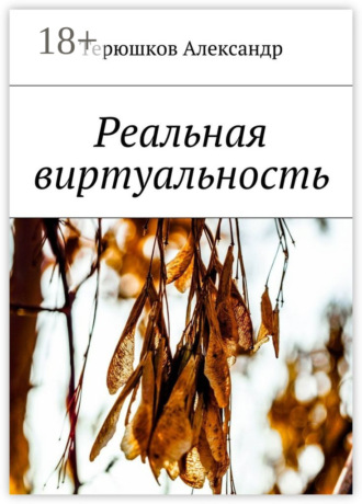 Реальная виртуальность. Александр Викторович Терюшков