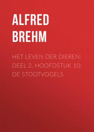 Brehm Alfred Edmund. Het Leven der Dieren: Deel 2, Hoofdstuk 10: De Stootvogels